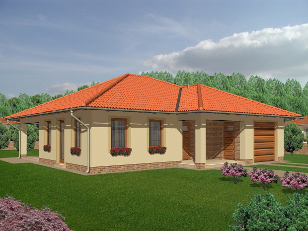 Array - perspektiva PL